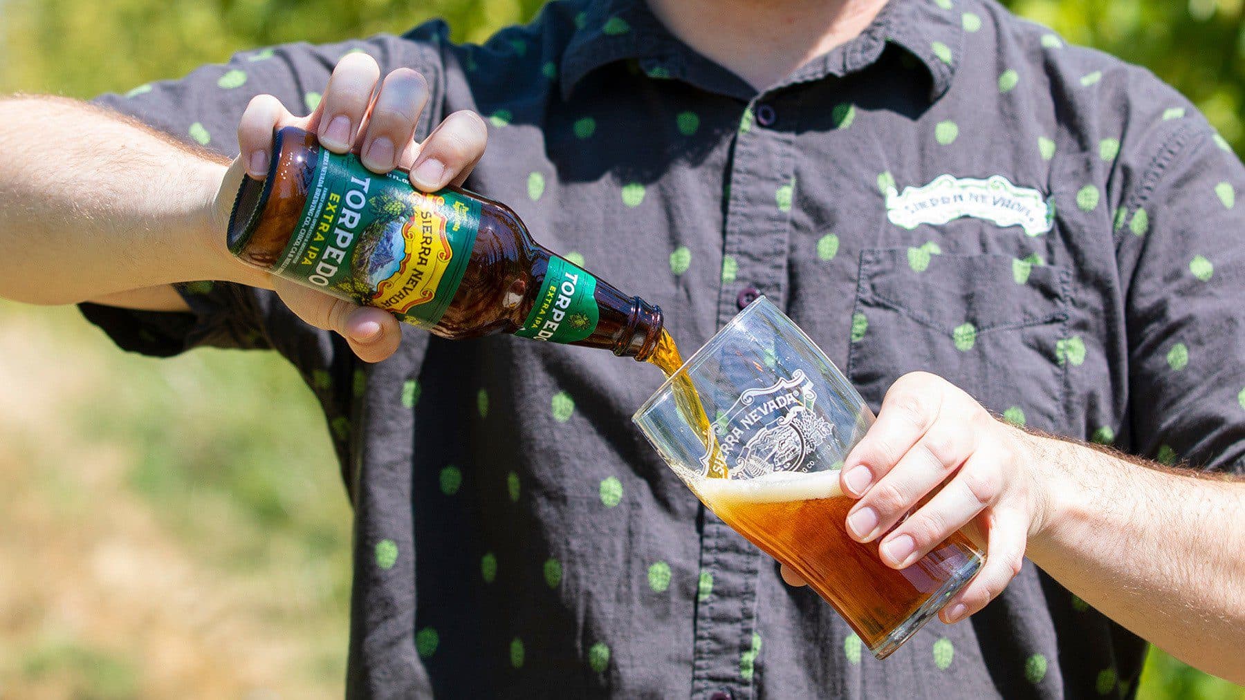 Dozens of bottles of Torpedo IPA on the packaging line at Sierra Nevada Brewing Company