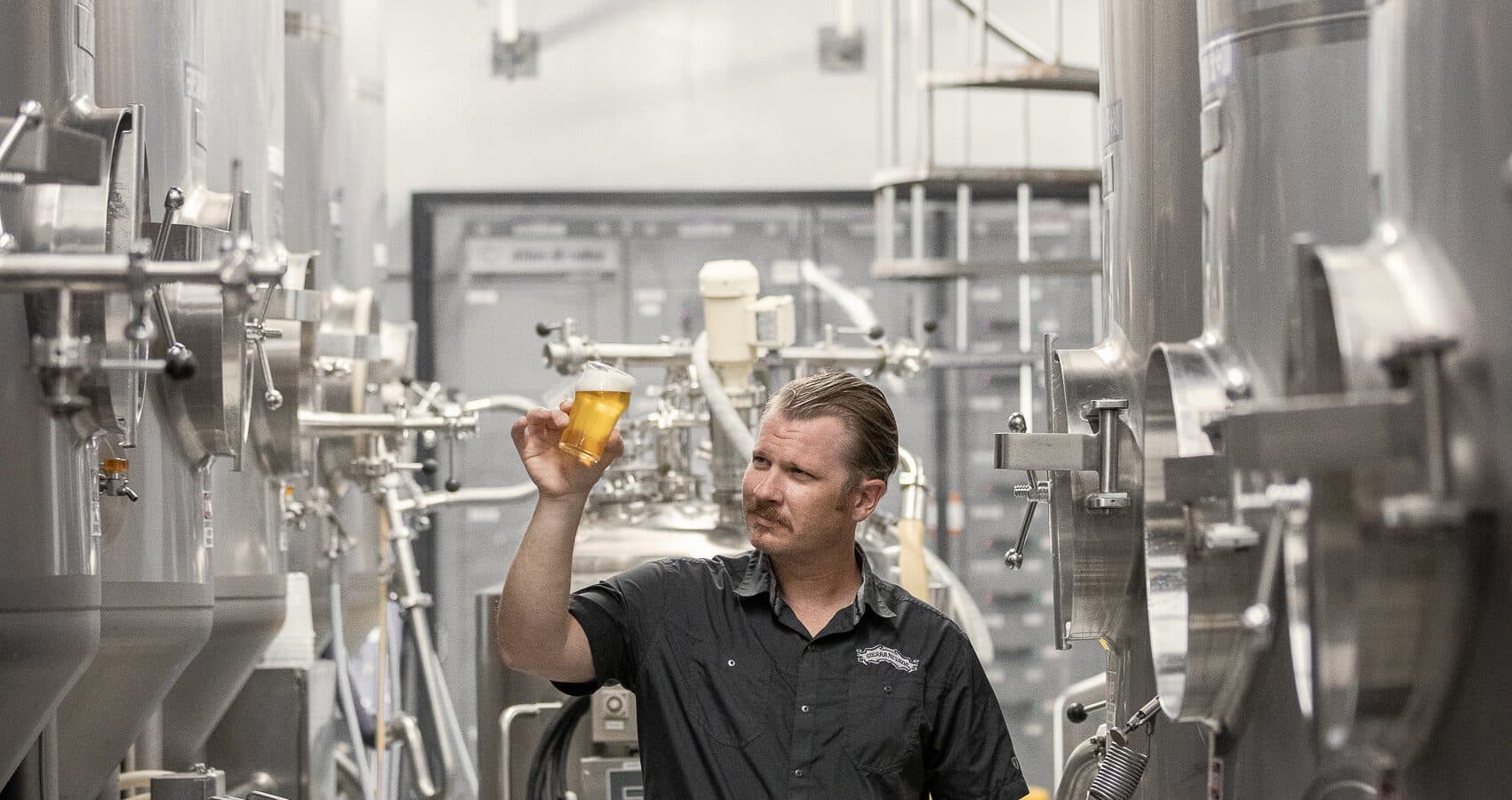 brewer looking at equipment in cellar